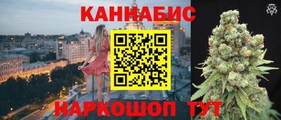 крисы Кунгур