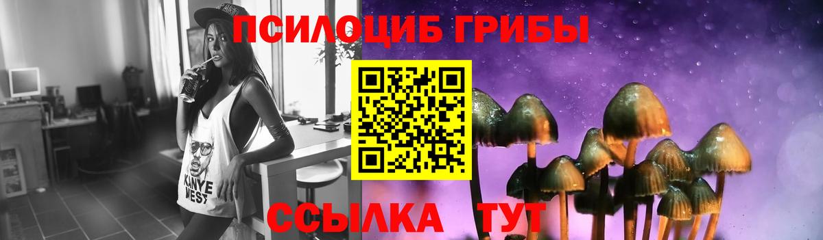 Камень-на-Оби  Псилоцибиновые грибы Cubensis  Вход с VPN  Галлюциногенные грибы мицелий 